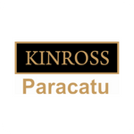 Kinross Paracatu