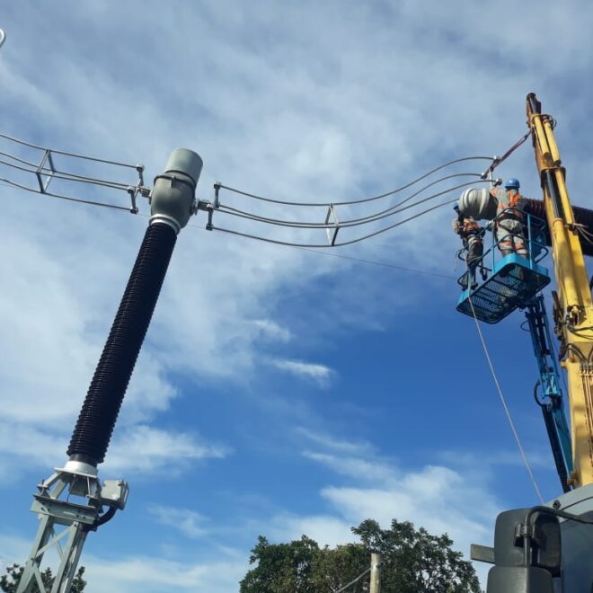 WhatsApp Image 2021-01-25 at 19.14.33 (1)