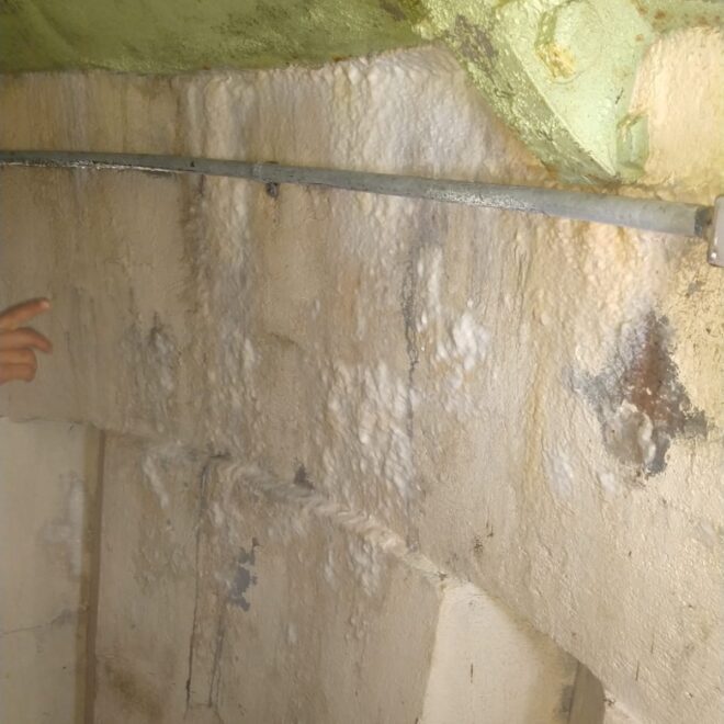 1b19b23a-b1aa-4952-b119-0a06b76bdf9a