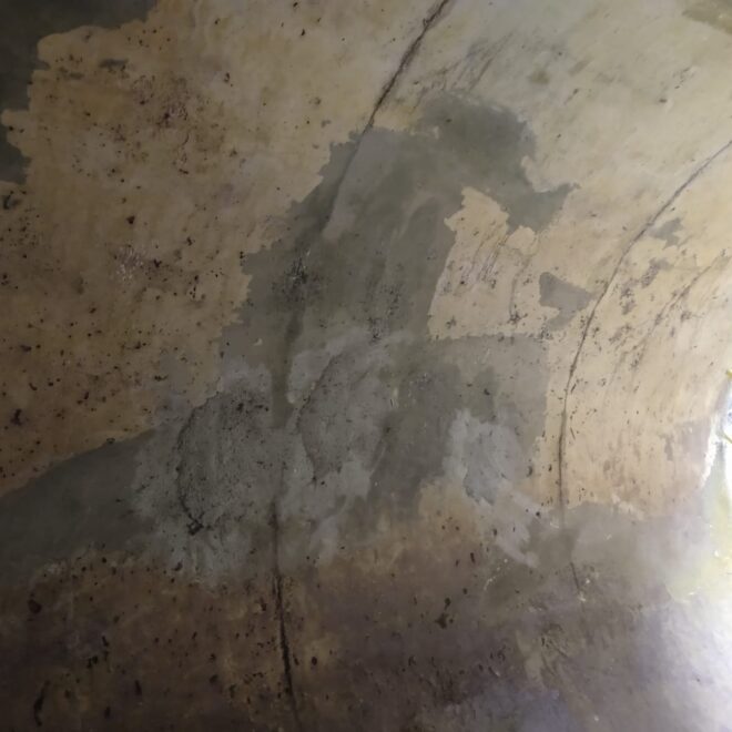 96390794-6f61-4949-9ef8-529f4e762af9